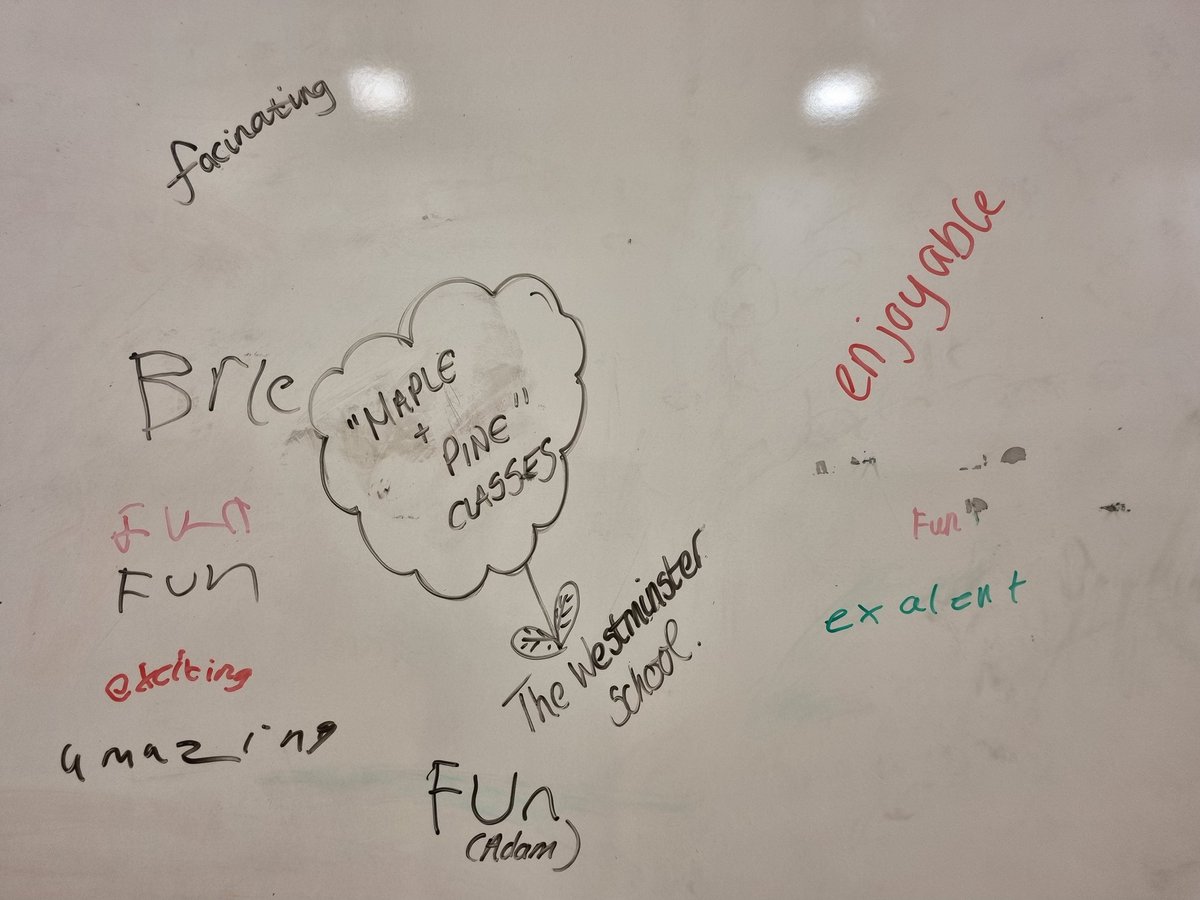 Another "Culture/Community Day" done...this time at Westminster Sch, Rowley Regis. This special school was so special, as all the children were so happy to do Bhangra Dance Fitness! They gave some fabulous 👌 feedback and magical ✨️ moments!! #cultureday #community #bhangra