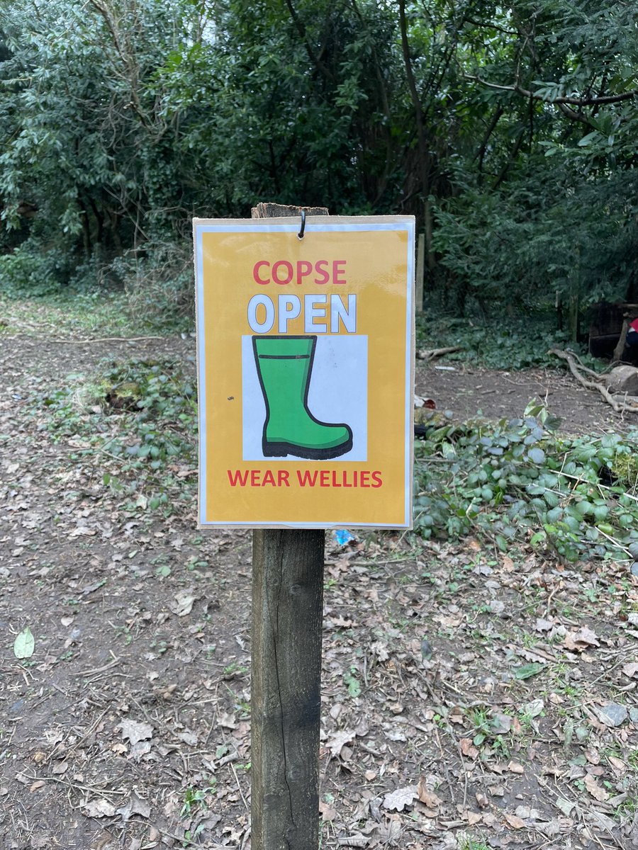 I’ve been into the forest today and witnessed walls being built, clan territories being defined and bases defended. The children at Merdon Juniors know how to create spaces for play - their own way! @OPAL_CIC #playmatters #planforplay @HantsLearning