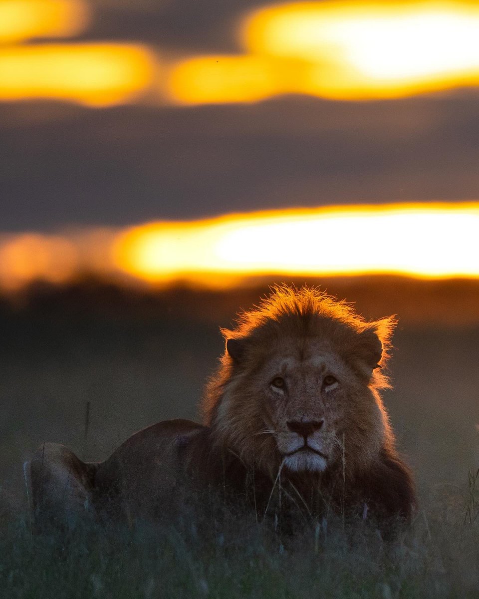 Subhash Nair tweet media