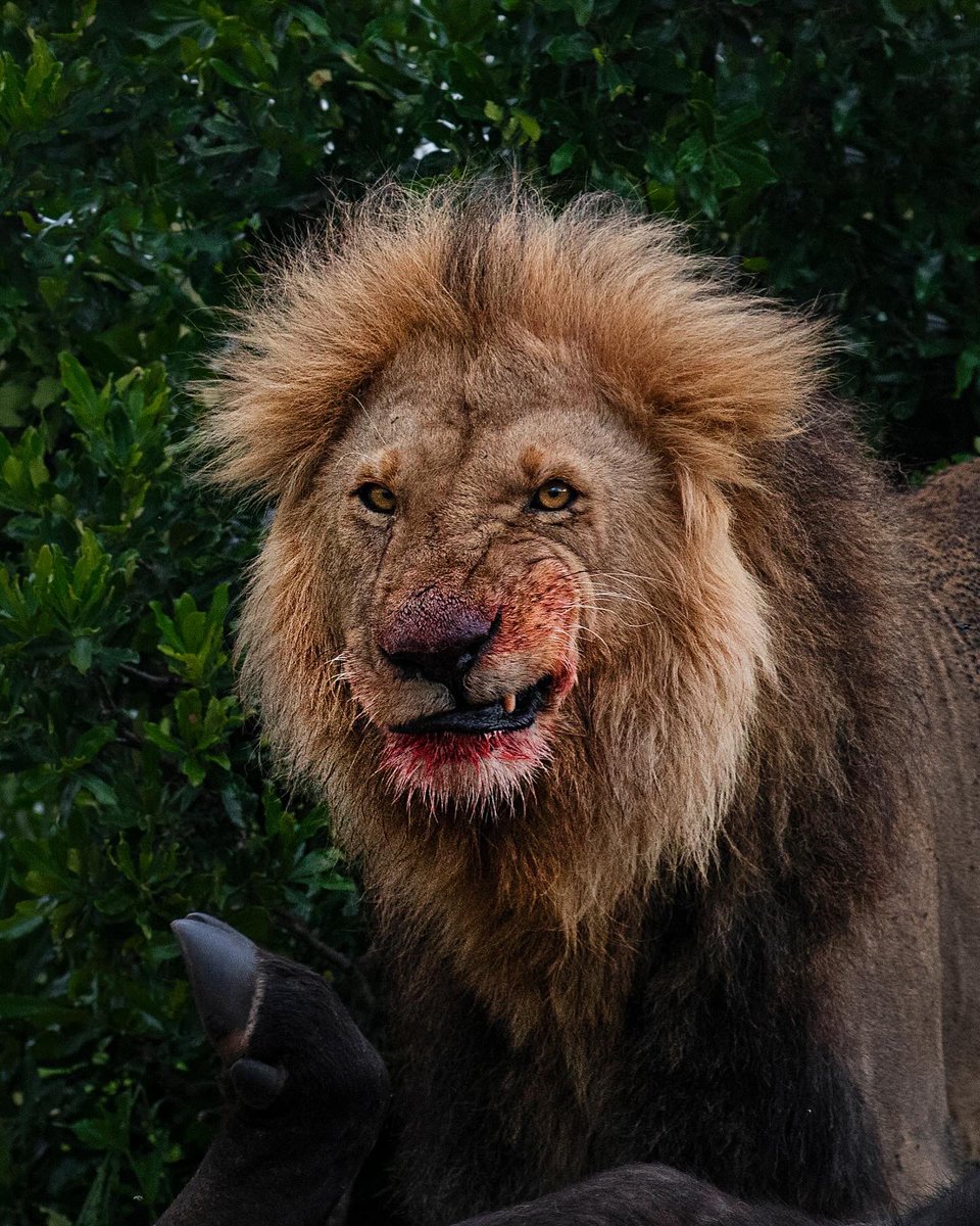 Subhash Nair tweet media