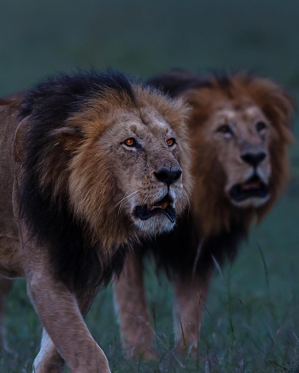 Subhash Nair tweet media