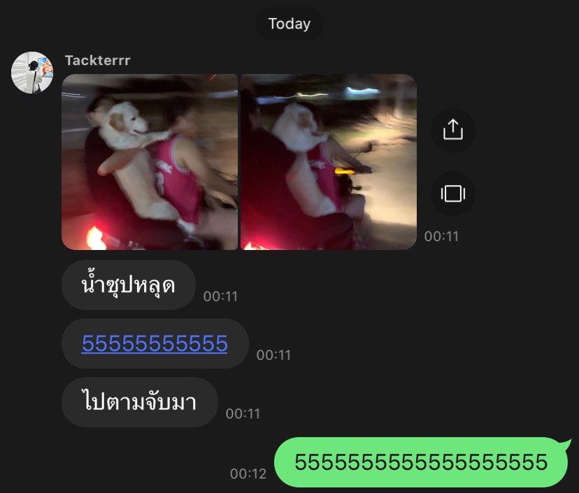 youxppp's tweet photo. เอาอีกละ หมาบ้านกู แค่เห็นรูปก็ตลกละ 
555555555555555555555555555555555555555555555555555555 https://t.co/qOcUlXz7hd