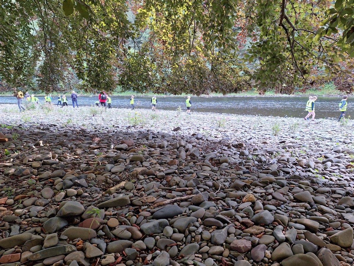 For #ChildrensMentalHealthWeek we’re highlighting the amazing power nature can have, boosting young people’s mental health with our education programme, <a href="/TForumlearning/">Tweed WATCH</a>. Getting outside and accessing your local green and blue spaces is a great start to boosting wellbeing 🌊