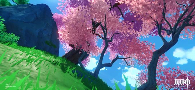 この木綺麗 桜かと思ったけど桜じゃなさそう?