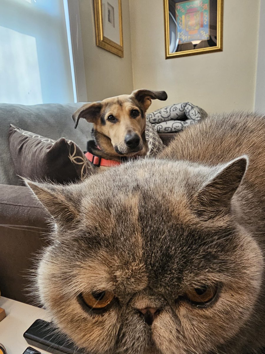 bleuterosome's tweet photo. bleusflash (bleu newsflash) from my dad: she’s here, she’s awake, and she wishes everyone a bleud morning (bleu good morning) https://t.co/a72AvSKemm