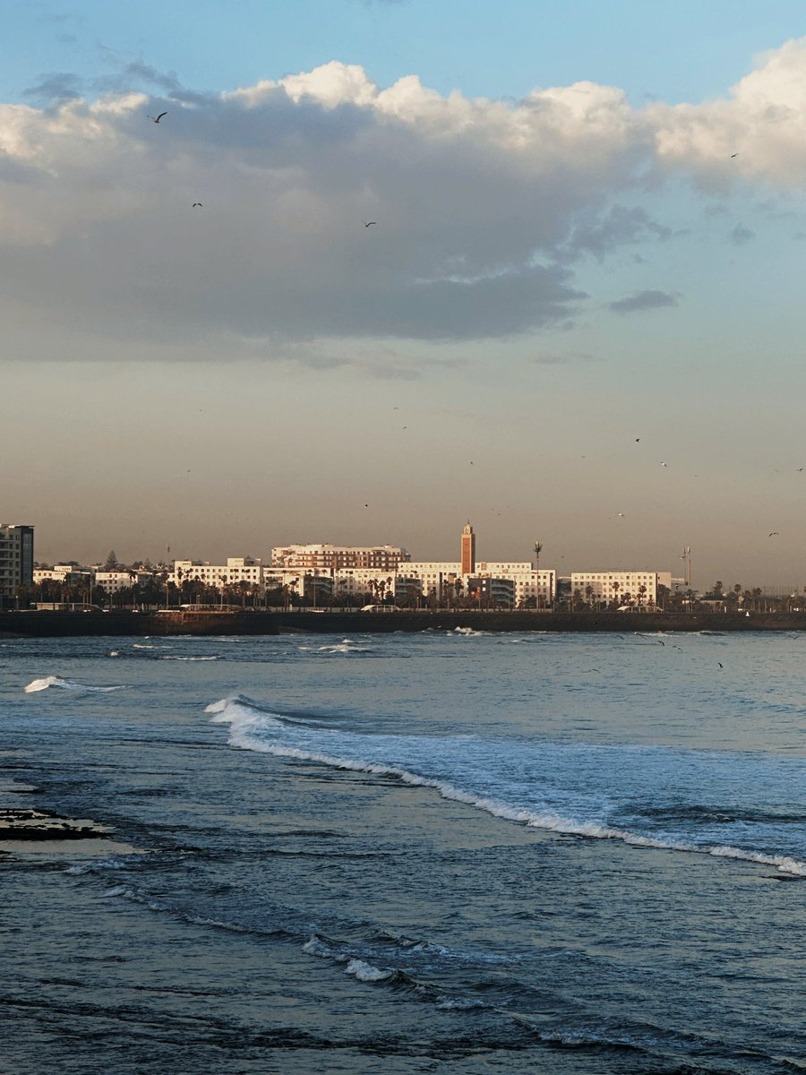 da_b_da's tweet photo. Casablanca sweetheart 🇲🇦 https://t.co/I4FoIKVu94