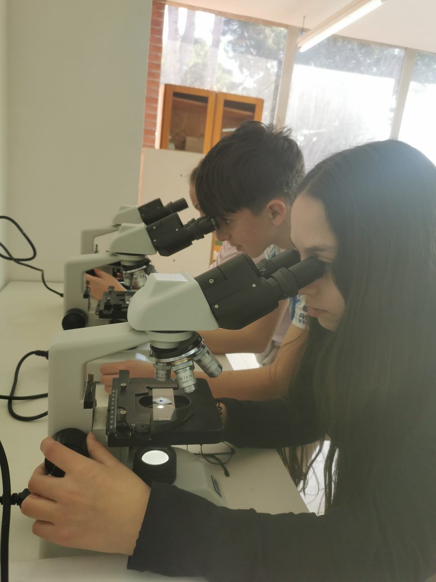 InsTorreRoja's tweet photo. L'alumnat de 1r d'ESO @instorreroja està aprenent a fer servir els microscopis òptics. Han començat observant les fibres de cel·lulosa d'un trosset de paper. https://t.co/CYMLUAxd7r