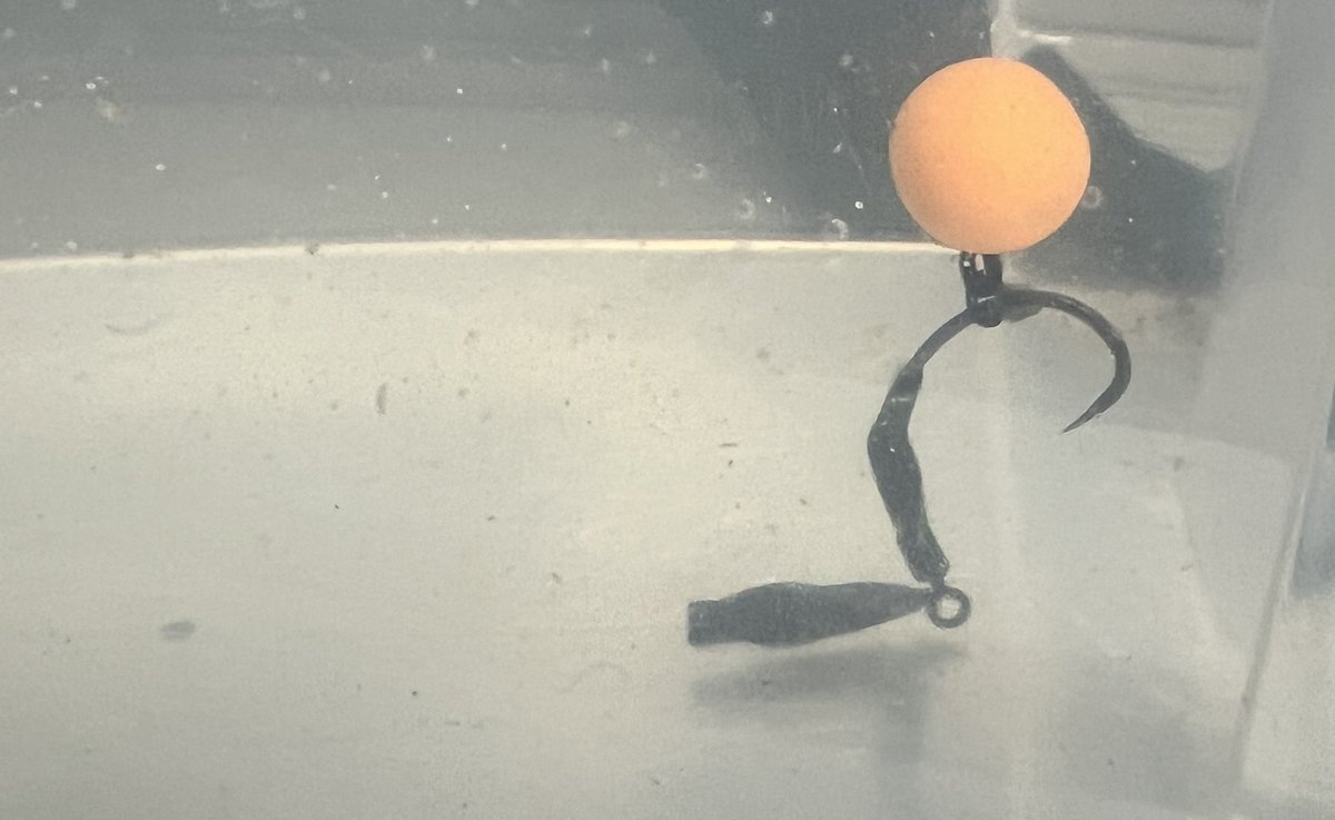 Spent some time today prepping and testing some spinner rigs ahead of a short day session this Friday. Have been frustrated with blank sessions recently so trying some alternative rigs and bait 🤞🏻🎣 #ApexAngling #CarpLife #Angling #Fishing #AnglingLife #FishingLife #TightLines