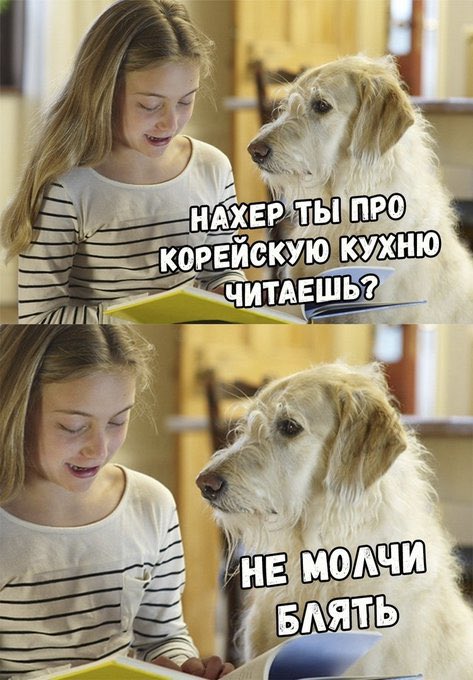 Вера tweet media