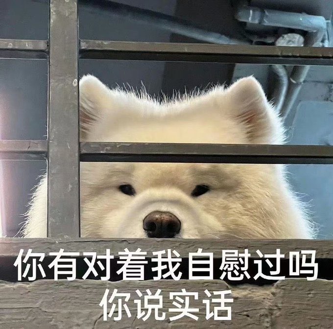 奥利奥🍪 tweet media