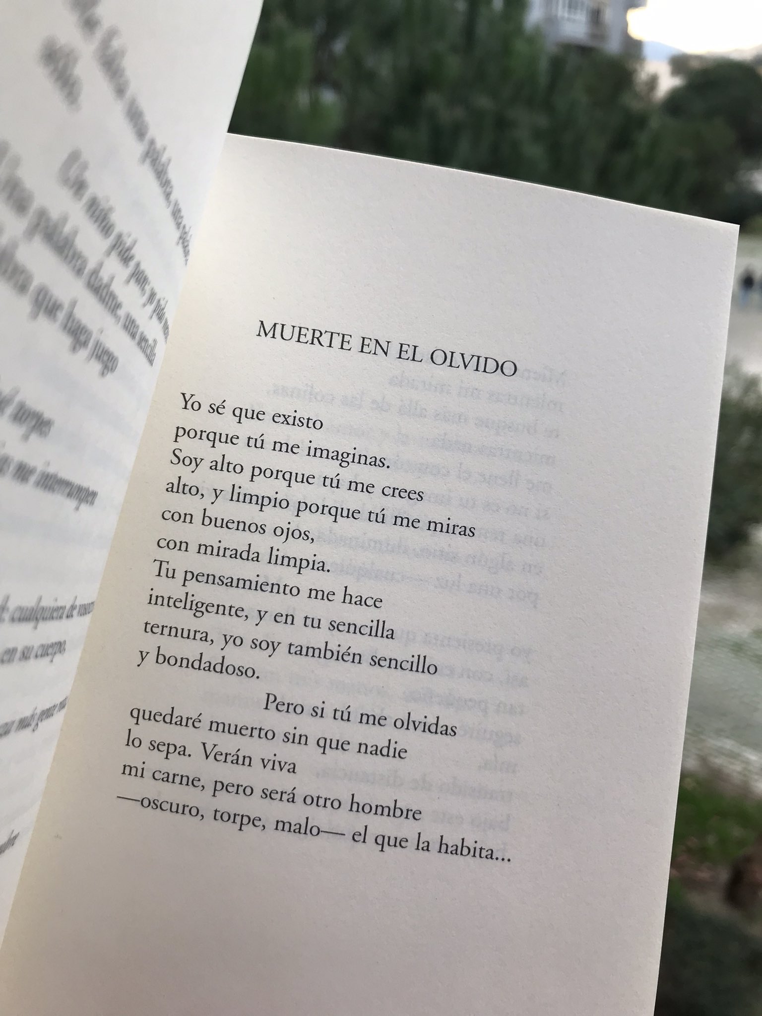 📖: El olvido más dulce  Libros, Frases poesia, Frases