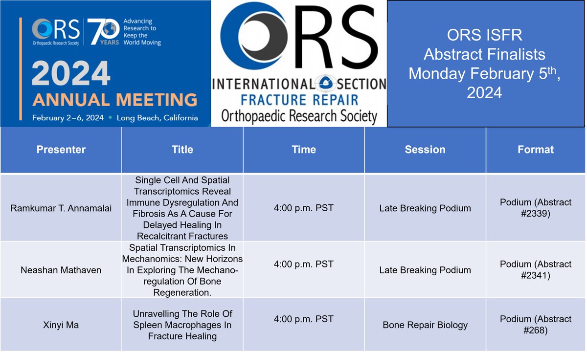 isfrfractures's tweet image. Later today at 4:00 p.m. PST we have 3 great podium finalists presenting their work during the late-breaking and bone repair biology sessions with special emphasis on spatial #transcriptomics and #osteoimmunology at #ORS2024 #bonehealing @ORSsociety