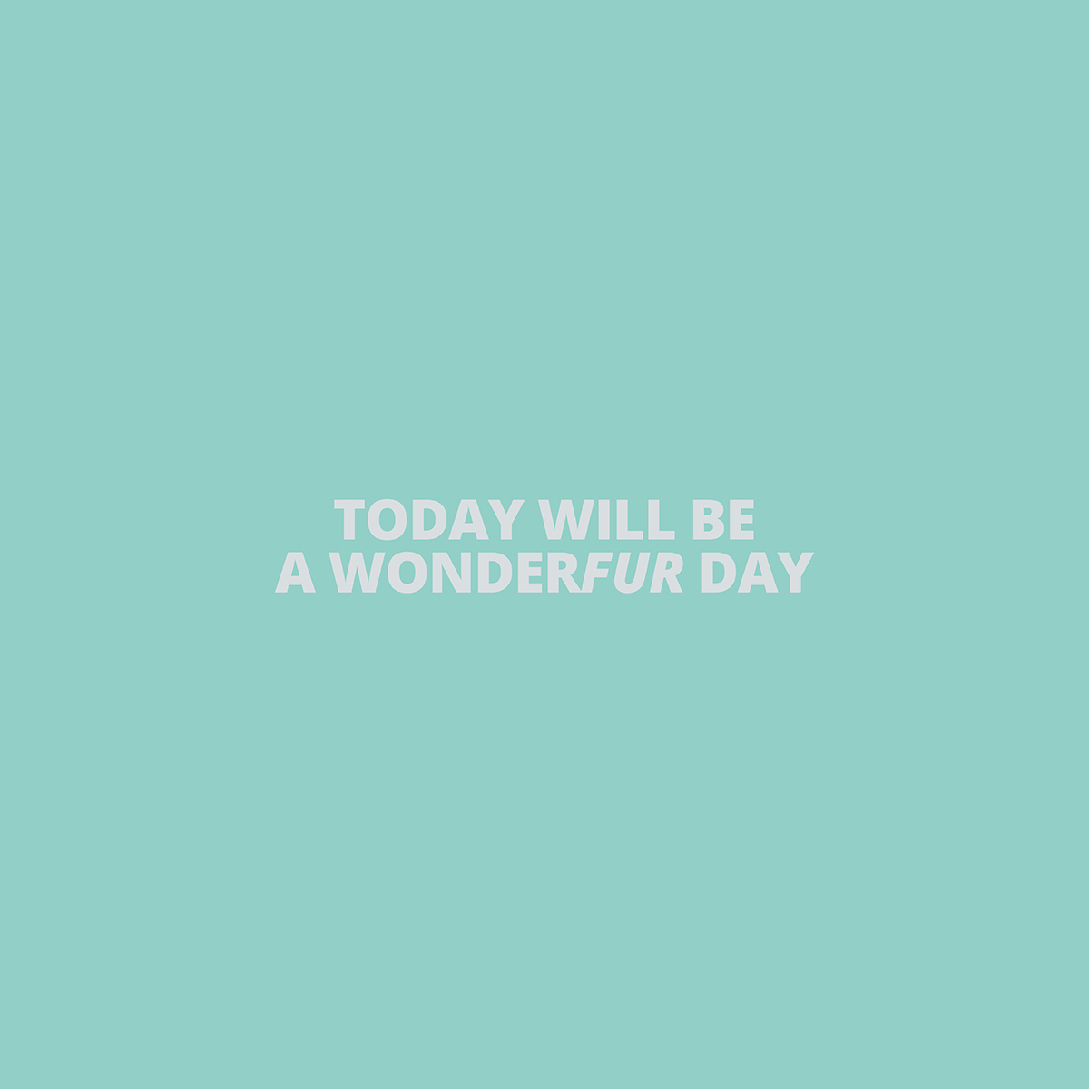 It’s Moose’s Monday Mantra time once again… * * * * #nexus24 #news #clients #marketing #marketingagency #webdesign #copywriting #branding #advertising #print #digital #video #customerfocus #digitalmarketing #socialmediamarketing #socialmedia #seo #business