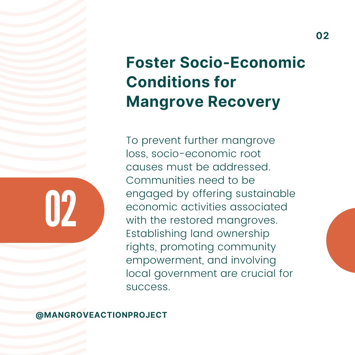 Mangrove Action Project tweet media