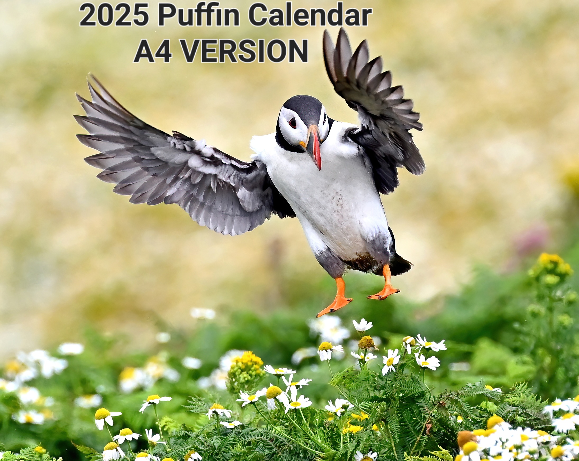 Countryfile Calendar Competition 2025 Rules tania zorine