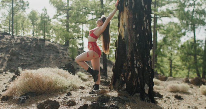 Something new is coming 🎥 https://t.co/5zDLEHq72X