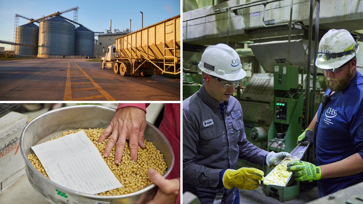 Our soybean processing facility in Fairmont, Minn., connects southern Minnesota and northern Iowa farmers to the global market. The recently expanded facility celebrated its 20th year in operation. Learn more about soy processing: bit.ly/48Wm0TN