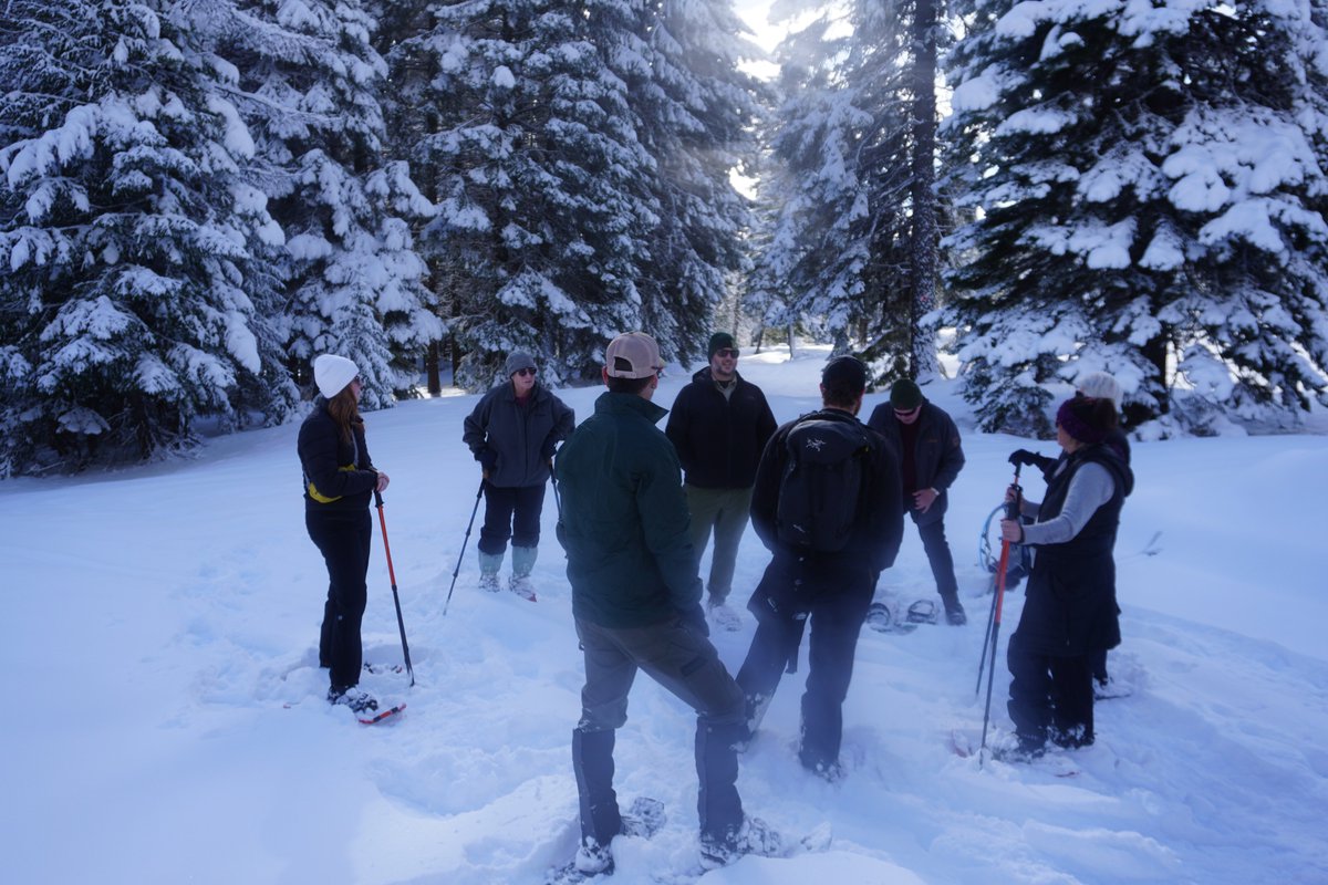 OchocoNatForest's tweet photo. โ๐ฒ Thank you to everyone who came out for Saturday's Snowshoe with a Ranger! ๐ฒWe can't wait for the next one. ๐โ๐ฒ
#OchocoNF #CrookedRiverNG #Snowshoe #GetOutside https://t.co/OQQzlJjoPH