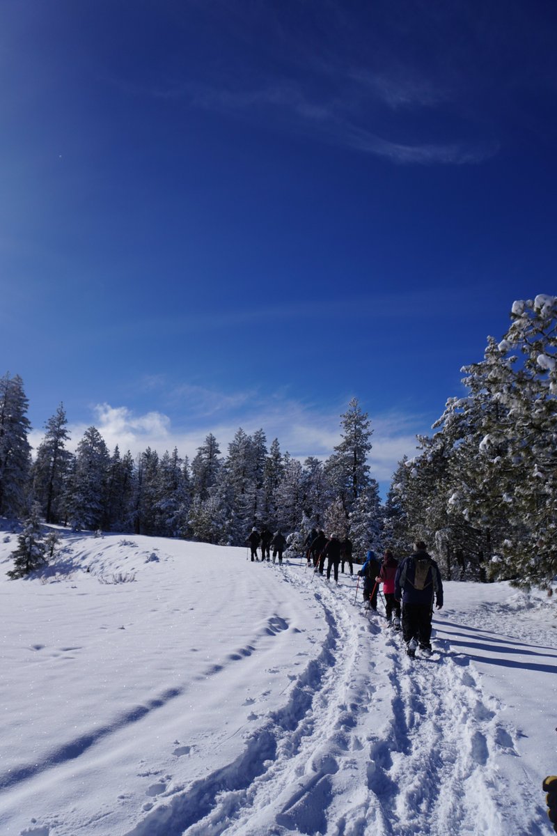 OchocoNatForest's tweet photo. โ๐ฒ Thank you to everyone who came out for Saturday's Snowshoe with a Ranger! ๐ฒWe can't wait for the next one. ๐โ๐ฒ
#OchocoNF #CrookedRiverNG #Snowshoe #GetOutside https://t.co/OQQzlJjoPH
