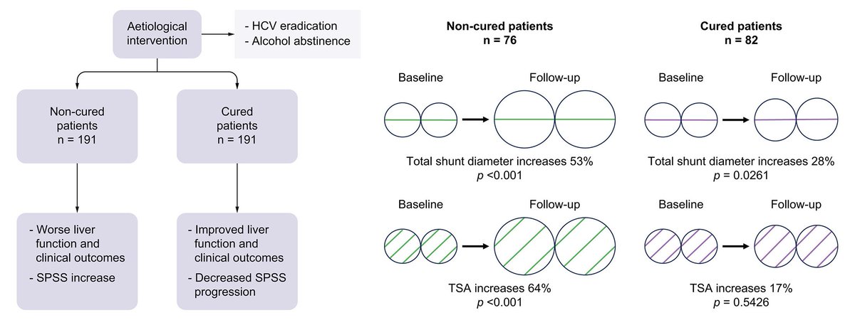 JHEP_Reports's tweet photo. ❕Evolution of spontaneous portosystemic shunts over time and following aetiological intervention in patients with cirrhosis

 🔓#OpenAccess at 👉https://t.co/HLjrc57Van

#LiverTwitter https://t.co/XJo4pLxlwi