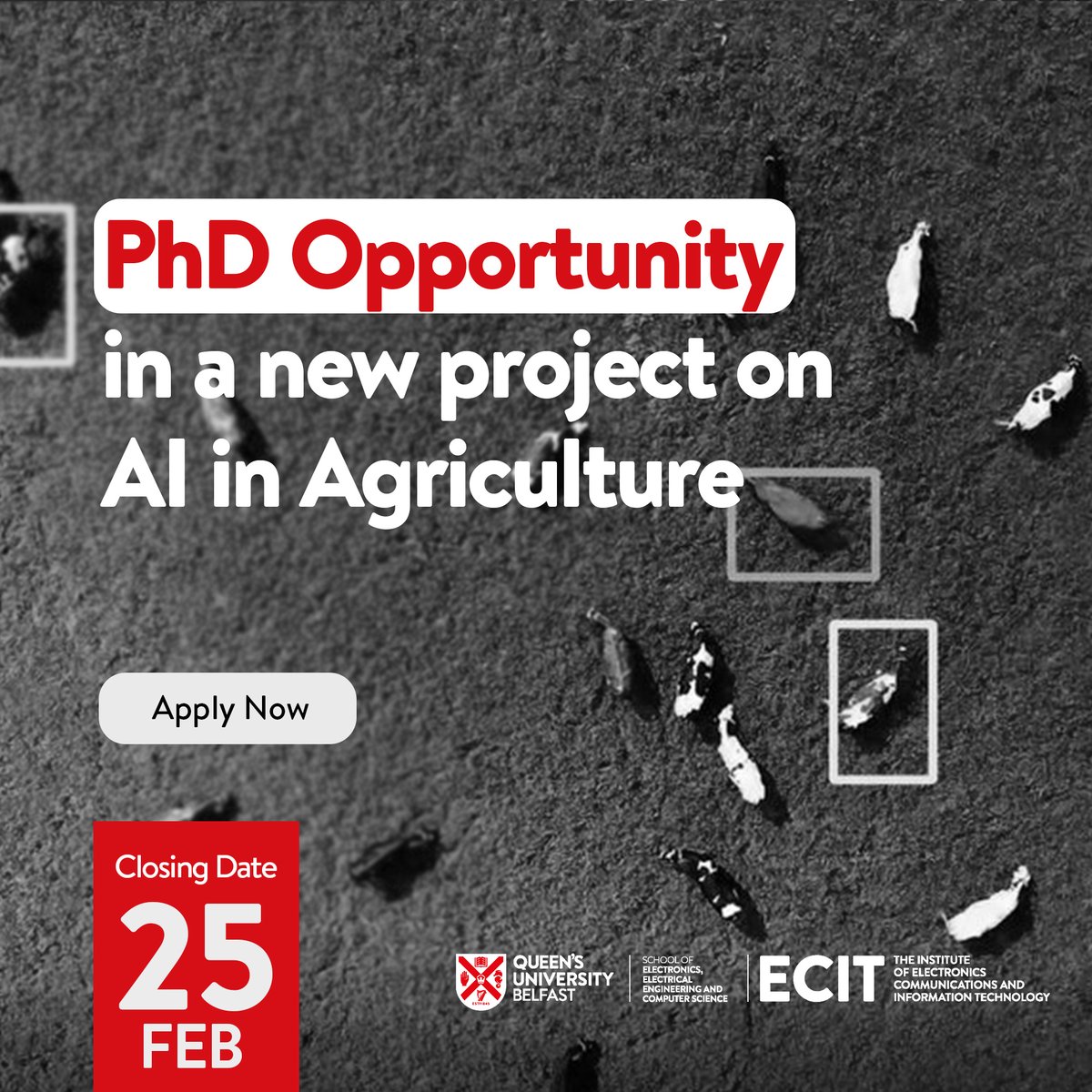 Join our PhD in Multi-Object Visual Tracking (MOT) for Agriculture at @QUBEEECS Funded by UKRI, develop AI to enhance animal welfare and farm productivity. Apply by 25 Feb 2024. Details: sustain-cdt.ai/vision