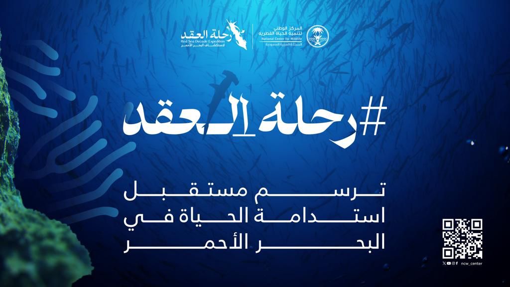 NCW_center's tweet image. أبحروا معنا في رحلة العقد لاستكشاف البحر الأحمر لنتعرف على الأسرار الفريدة الكامنة، والوقوف على عجائب عالمه المذهل ونظامه البيئي البديع.

#RSDE 
 #رحلة_العقد
 
للمزيد: rsde.ncw.gov.sa/?page_id=630