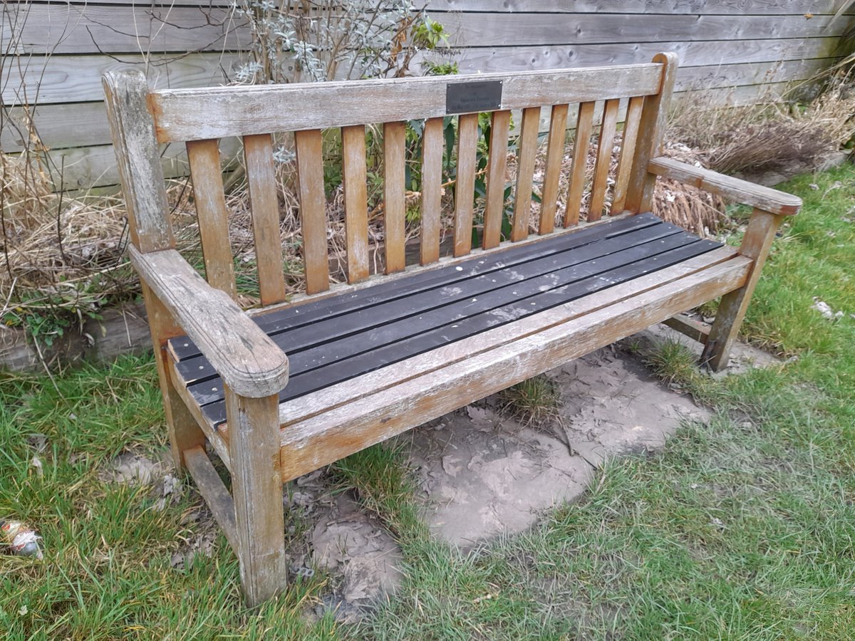 The 'Stewart Davies' bench outside the Community Cabin has been superbly restored by Mark Gorman. I'll have to tidy up the raised bed behind it to do it justice.