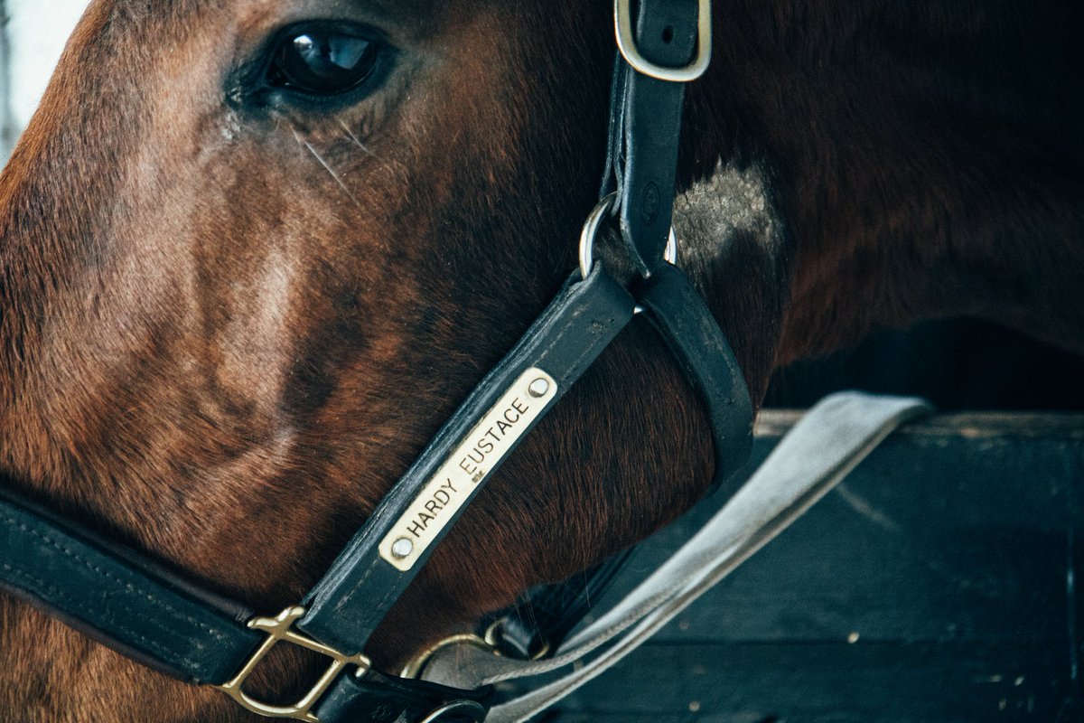 Fiona O'Dwyer tweet media