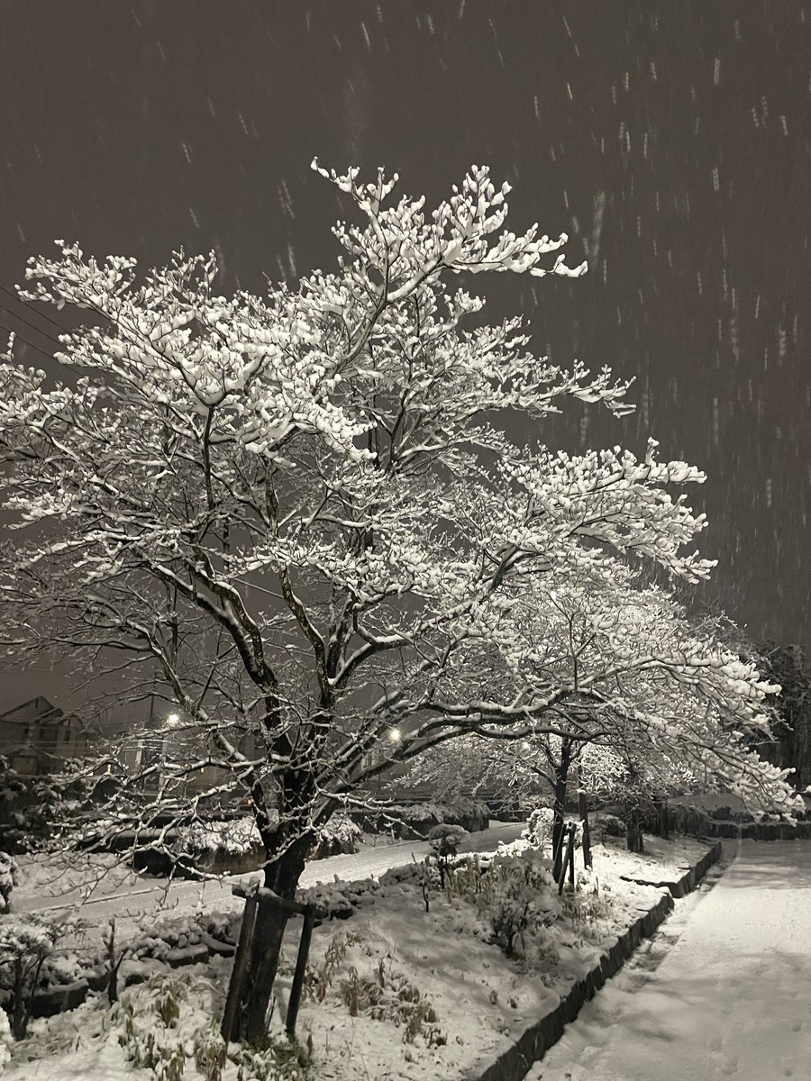 188___niki's tweet photo. 派遣の日にこれは死ぬど https://t.co/kkYELNwyQO