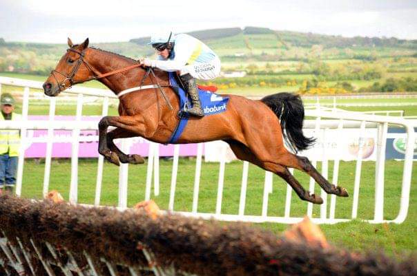 Fiona O'Dwyer tweet media