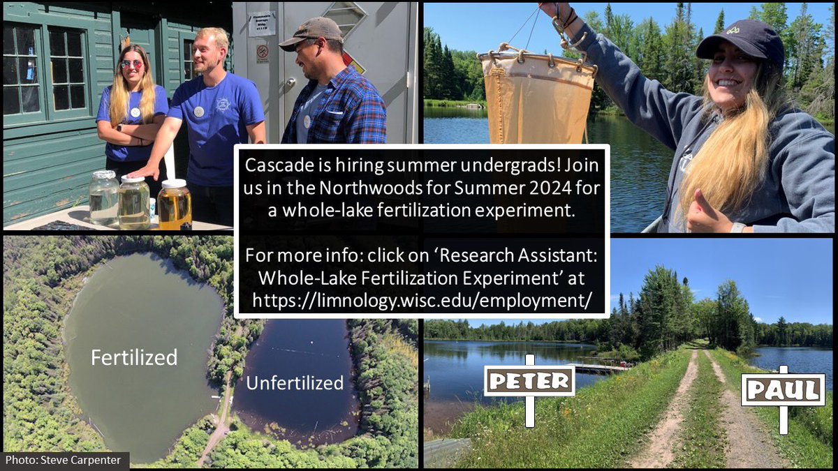 Cascade is hiring summer undergrads! Come work with us <a href="/NDFieldEcology/">UNDERC</a> this summer as we begin our next whole-lake experiment. More info here: limnology.wisc.edu/employment/res…