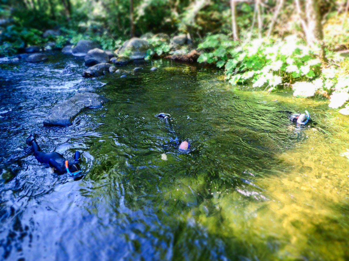 New fish passage barrier removal efforts on #BigChicoCreek stand to make waves for native fish conservation. Learn more about it in this week’s Fish Report: bit.ly/big-chico-fish…