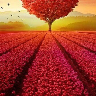 👑👑👑 (@hoda7747) on Twitter photo قروباتت_👑👑👑
👑<a href="/fg2g3/">الزعيم أبو أحمد 💙🤍</a>
@GhazawiOsamah
<a href="/abwhnan30076/">م حـم ـــــــــد 🇸🇦3</a>
<a href="/TAYIBKHAN313/">Tayib Khan Kiani</a>
<a href="/a80346277/">SAL</a>
<a href="/DyelQueM/">🫴❤️•🌤☆◉ᴅʸᵉˡǫᵘᵉⁿ◉☆•🫧🌤</a>
<a href="/abujod_22/">م حم ـــــــد2🌓نادي الوطن🌗العميدالعالمي🇸🇦58🏆</a>
<a href="/Sh__ams1/">☀️ش̲͡͡م̲͡͡س̲͡͡☀️✿͡◉͡●͡•͡◦͡ cv</a>
<a href="/8v__24/">شوق</a>
@2KH22
<a href="/Q2lili/">حازﻣ المظفر</a>
@c40__f
<a href="/bnlklyj444013/">الزمن دوار والدنيا تدور</a>
<a href="/77xooo/">Laeder 77</a>
<a href="/alkaladi_/">𓃮𝕏ᘓ⎽ɹ̣ɡ⎽⎽ɹ̇ᓗ̣⅃Ĩ ɑ̈ᓆ⅃Ĩ⎽ם⎽⎽ჺ𝕏</a>
@2lzahraa
@abujod_19
<a href="/maadi990/">تركي البشري</a>
@mtza22734
<a href="/abujood_20/">سقـــــــــــــــــــراط🇸🇦</a>
<a href="/JaevarKleib/">جعفر احمد اڪليب</a> قروباتت_👑👑👑
👑<a href="/fg2g3/">الزعيم أبو أحمد 💙🤍</a>
@GhazawiOsamah
<a href="/abwhnan30076/">م حـم ـــــــــد 🇸🇦3</a>
<a href="/TAYIBKHAN313/">Tayib Khan Kiani</a>
<a href="/a80346277/">SAL</a>
<a href="/DyelQueM/">🫴❤️•🌤☆◉ᴅʸᵉˡǫᵘᵉⁿ◉☆•🫧🌤</a>
<a href="/abujod_22/">م حم ـــــــد2🌓نادي الوطن🌗العميدالعالمي🇸🇦58🏆</a>
<a href="/Sh__ams1/">☀️ش̲͡͡م̲͡͡س̲͡͡☀️✿͡◉͡●͡•͡◦͡ cv</a>
<a href="/8v__24/">شوق</a>
@2KH22
<a href="/Q2lili/">حازﻣ المظفر</a>
@c40__f
<a href="/bnlklyj444013/">الزمن دوار والدنيا تدور</a>
<a href="/77xooo/">Laeder 77</a>
<a href="/alkaladi_/">𓃮𝕏ᘓ⎽ɹ̣ɡ⎽⎽ɹ̇ᓗ̣⅃Ĩ ɑ̈ᓆ⅃Ĩ⎽ם⎽⎽ჺ𝕏</a>
@2lzahraa
@abujod_19
<a href="/maadi990/">تركي البشري</a>
@mtza22734
<a href="/abujood_20/">سقـــــــــــــــــــراط🇸🇦</a>
<a href="/JaevarKleib/">جعفر احمد اڪليب</a>