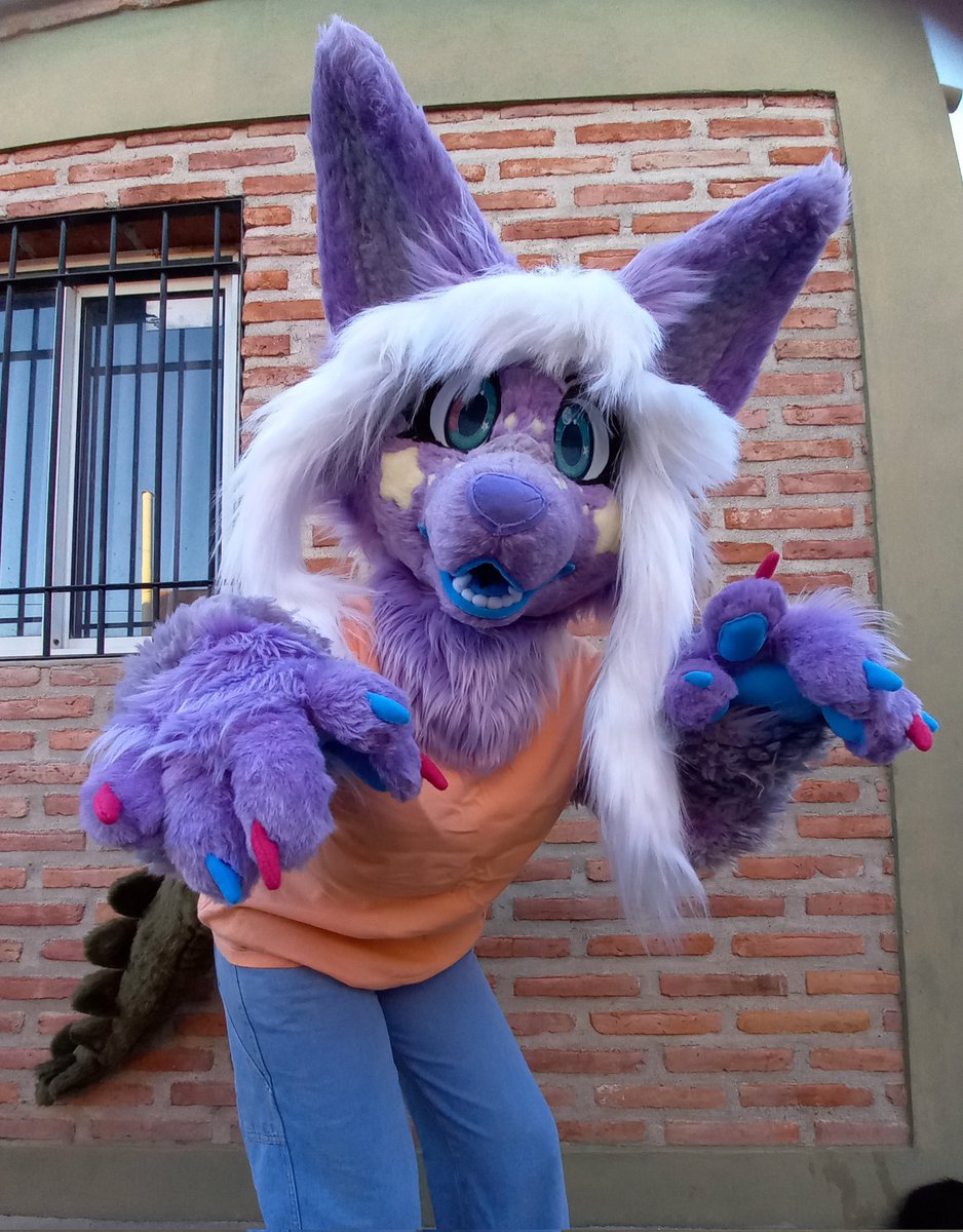 ChainaSilverfox's tweet image. Parcial fursuit finished for @MagicalSamono !!
✨️First fursuit completed this year!!!