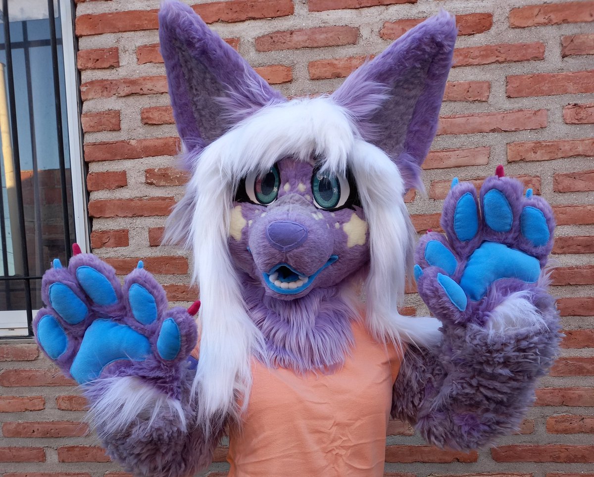 ChainaSilverfox's tweet image. Parcial fursuit finished for @MagicalSamono !!
✨️First fursuit completed this year!!!