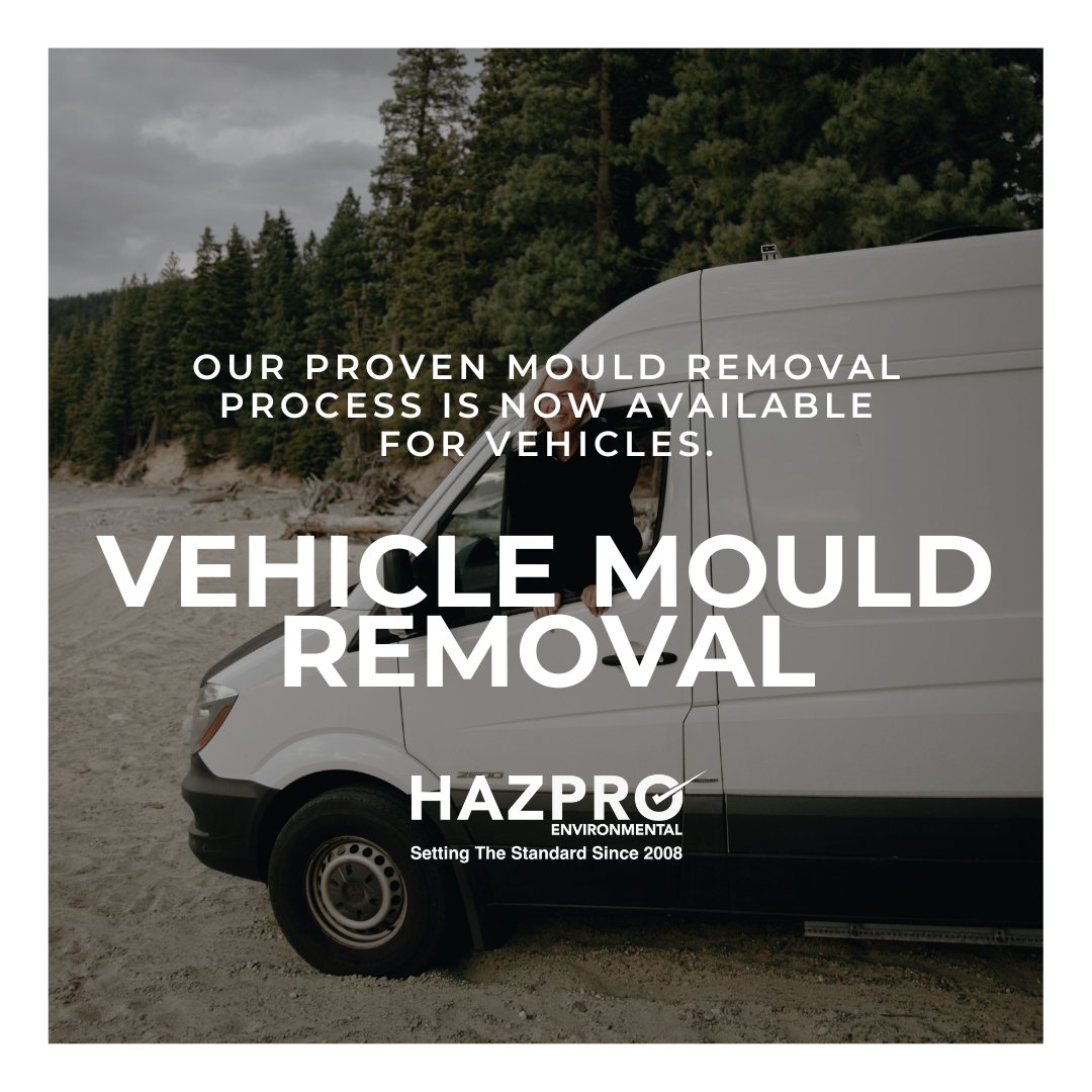 HazproCanada's tweet photo. Is mould making itself comfortable in your vehicle? Don't let it linger.  We specialize in professional Vehicle Mould Removal services to ensure your ride is clean, safe, and mould-free. #yyj https://t.co/EazaRv6gwx https://t.co/OCrIxX3xfE