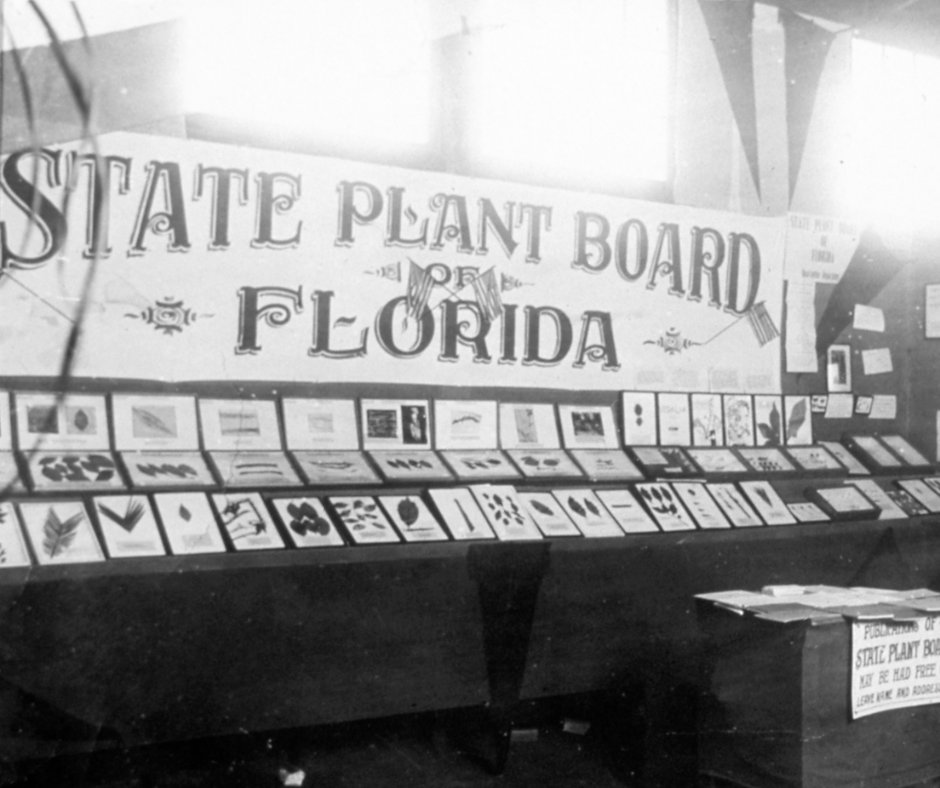 This image shows one of our exhibits during the State Fair in Jacksonville – one of many ways we've historically showcased how we protect Florida's natural and agricultural resources. This year, you will be able to find us at the Florida State Fair from Feb. 8 until Feb. 19!