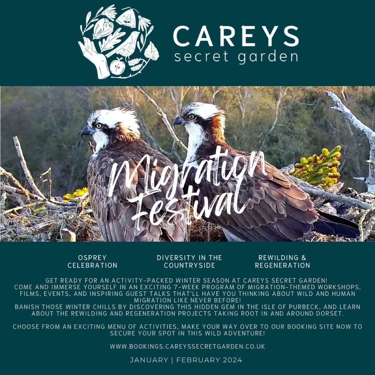 The excellent @CareysSecret are running 'Migration Festival 2024' in Dorset , some great talks and events next up ospreys and eagles by @timmackrill from @RoyDennisWF on the 8th , followed by @harbourbirds and @SoundApproachUK More details here bookings.careyssecretgarden.co.uk/events-and-cou…