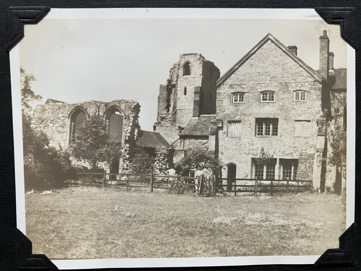 hordeofduck tweet media