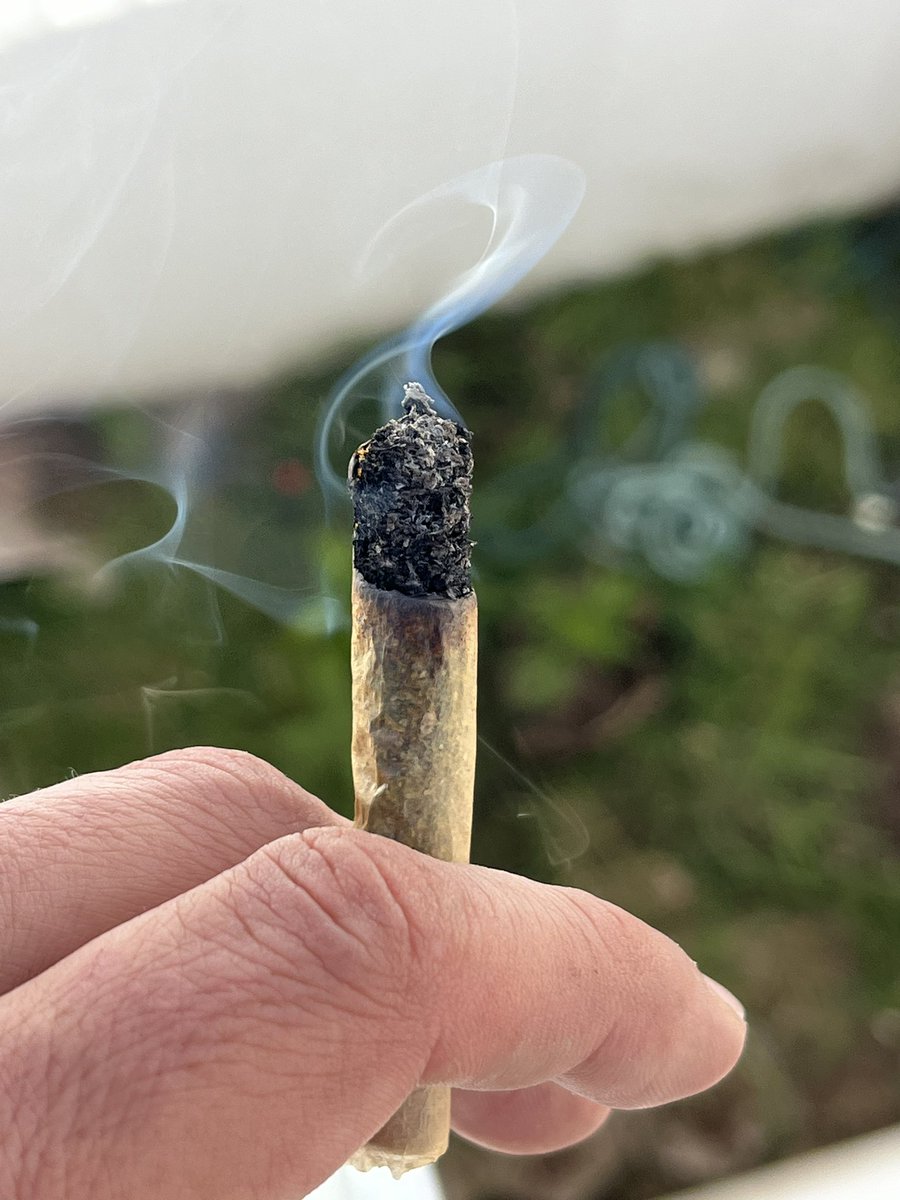 Mariguanillo's tweet image. Buenos días Villa Tuiter. Aquí disfrutando del lunes con sabor a dominguito relax. #BuenosHumos #autocultivo #cannabis