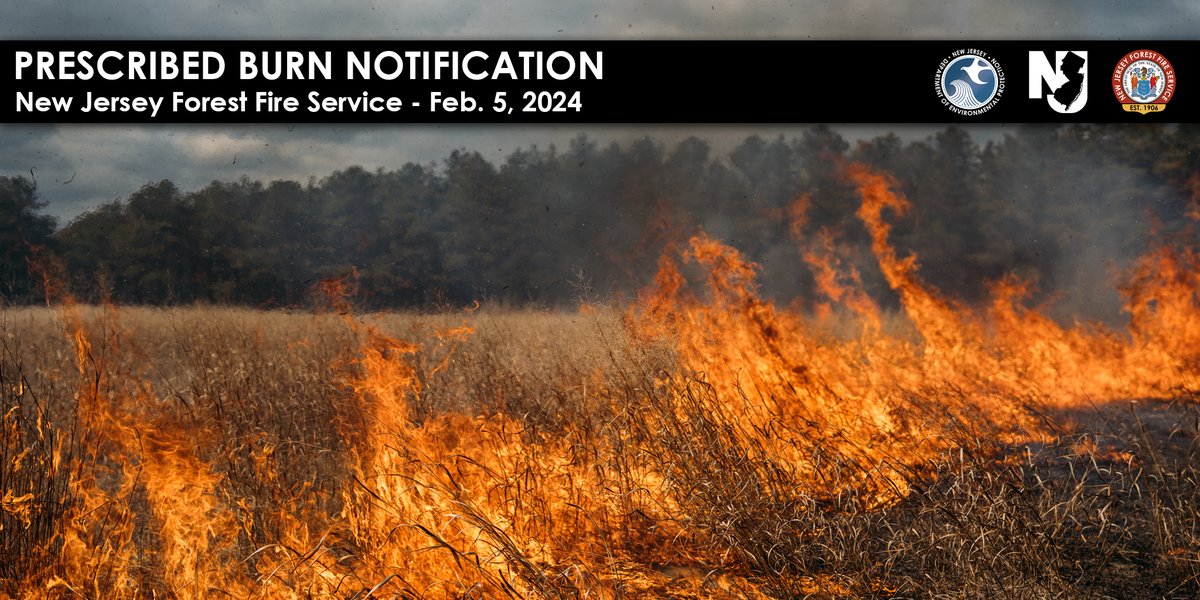Today, Feb 5, <a href="/njdepforestfire/">New Jersey Forest Fire Service</a> will be conducting prescribed burning operations in the following areas.

🔥 Ocean County - Berkeley Twp - Double Trouble State Park
🔥 Ocean County - Berkeley Twp - County Property

This schedule is weather dependent and subject to change.