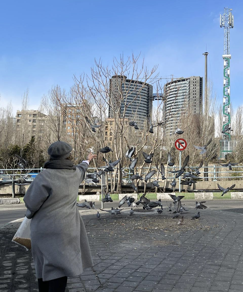 Elighnd's tweet photo. Since Lo is a bird, I wanted to do something about birds. This morning I bought some wheat and distributed it for them in different parts of the city🕊️

I hope to do this again later🤩Thanks @Mittaria_Origin &amp; @WayToGods for organizing this competition #KindestGestureCompetition https://t.co/fAh0XdsHDk