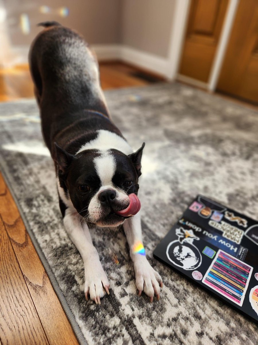 Mr. Phillip's Monday Mood 

Limbering up for a day of snoring and farting, er, I mean co-editing JQ Book 20.

#philsmondaymood #chroniclesofphil #bostonterrier #authorsdog #josiequinn #josiequinnseries #book20