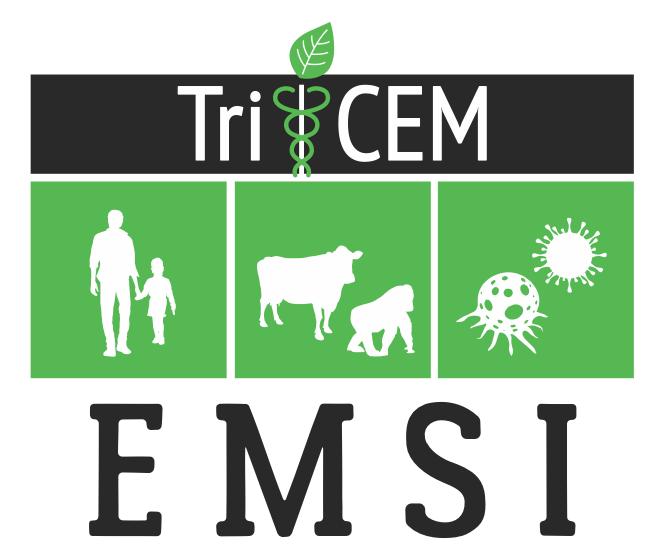 Accepting Applications for 2 Opportunities! Apply for the Steve Meshnick Travel Award and to attend EMSI 2024! Meshnick Award: tricem.org/meshnick-award/ EMSI: sites.duke.edu/emsi/