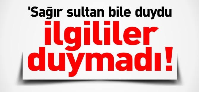 AdamoElTurko's tweet photo. @HakveAdale @isikhanvedat @csgbakanligi @avabdullahguler @omerrcelik @NumanKurtulmus @mustafaelitas @aliihsanyavuz54 @TBMMresmi @TBMMGenelKurulu @akbasogluemin Belediye Şirket İşçilerimizin İş Güvencesi KadroTaleplerini Duyan İlgili Yok Mu @RTErdogan @tcbestepe @iletisim @fahrettinaltun @csbgovtr @TC_icisleri @csgbakanligi @isikhanvedat @vedatbilgn @ZeybekciNihat @jsarieroglu @bybekirbozdag  @omerrcelik @Akparti #IşıkhanBldİşçisiniDuy https://t.co/8VlAflARls