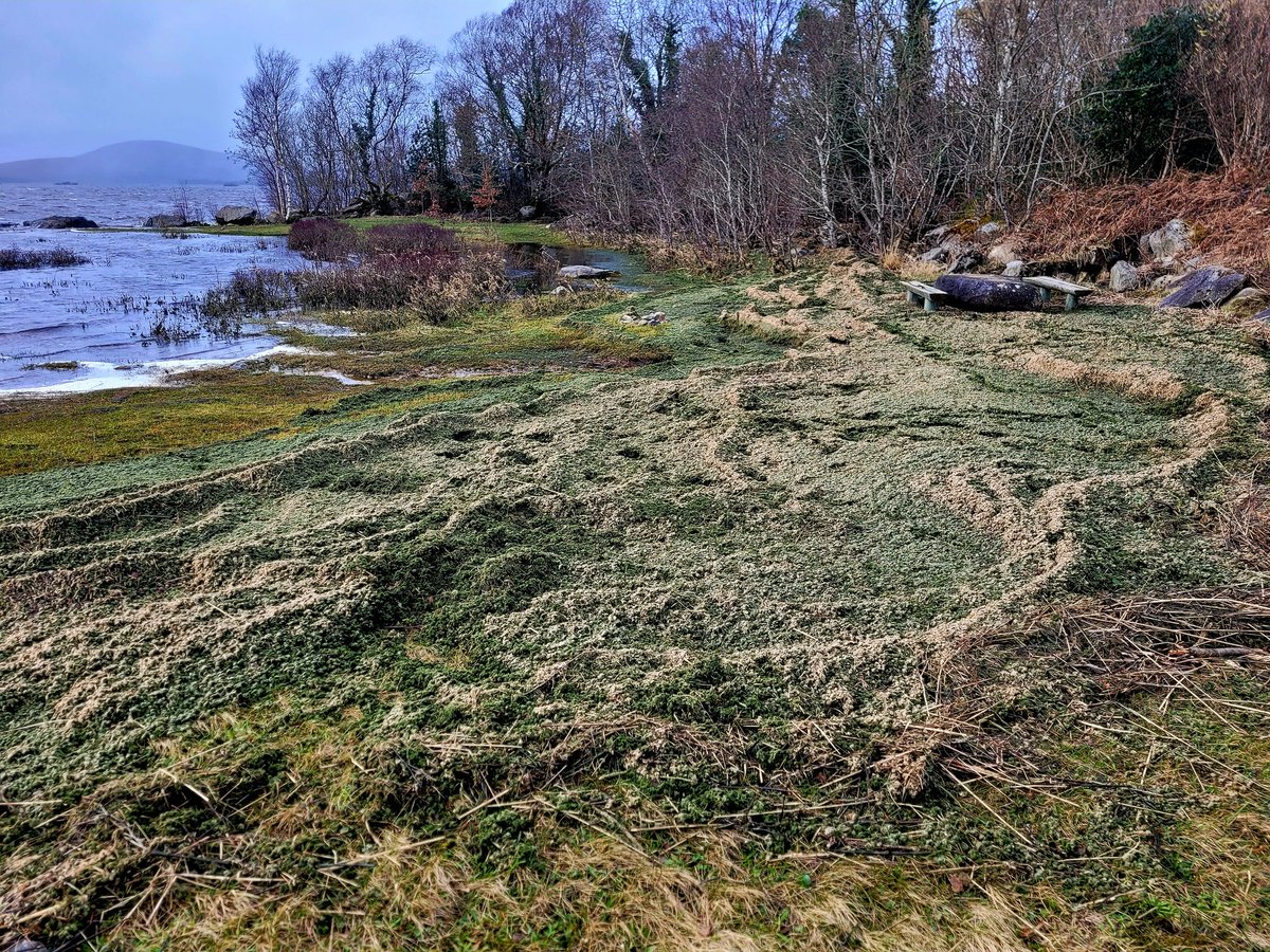 Bryan Kennedy tweet media