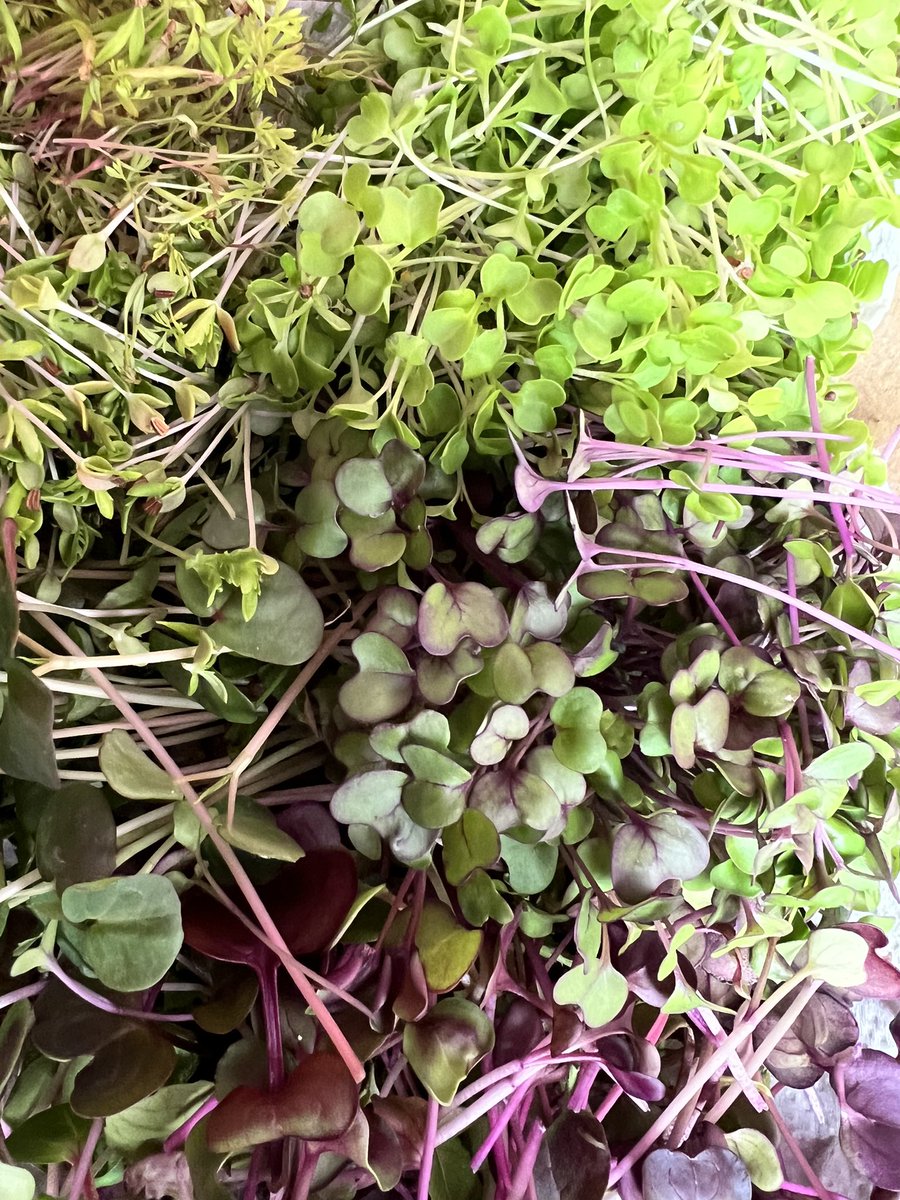 Micros cut and out for delivery with in 1hr . FRESH 😀