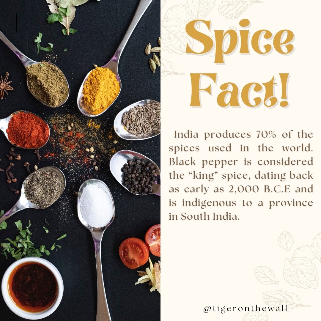 TOTWSH's tweet photo. Spice up your life by trying some of our popular Indian dishes that full of aromatic spices and herbs. 🍛🌶️❤️

Swipe ⬅️ to see some of our delicious dishes served at our restaurant😊

Call 01463 232765 to book a table ❤️ 

#indianfood #spices #funfact #scotland #inverness https://t.co/5GEDGc6S3y