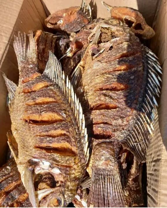 Wapenz wangu mpooo
Mambo siyo haba  wasiwasi wanini
Agizaa  samaki fresh kutoka mwanza
Tunauza samaki aina ya sato ,sangara wanapatikana kwa bei cheers karibu sana