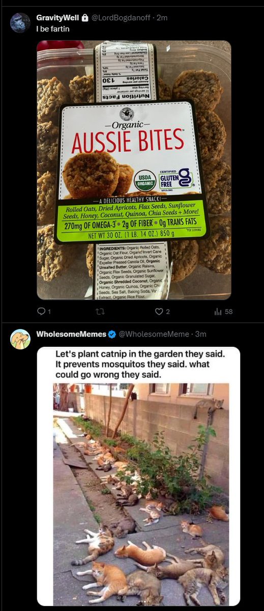 ImpossiblePairs's tweet photo. @LordBogdanoff According to my timeline it appears you have killed at least 30 cats. RIP. Please stop. https://t.co/eLJwuIysRU